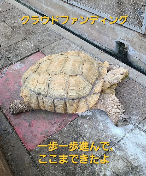 100%達成！そしていよいよ「かまフェス2024」開催です！