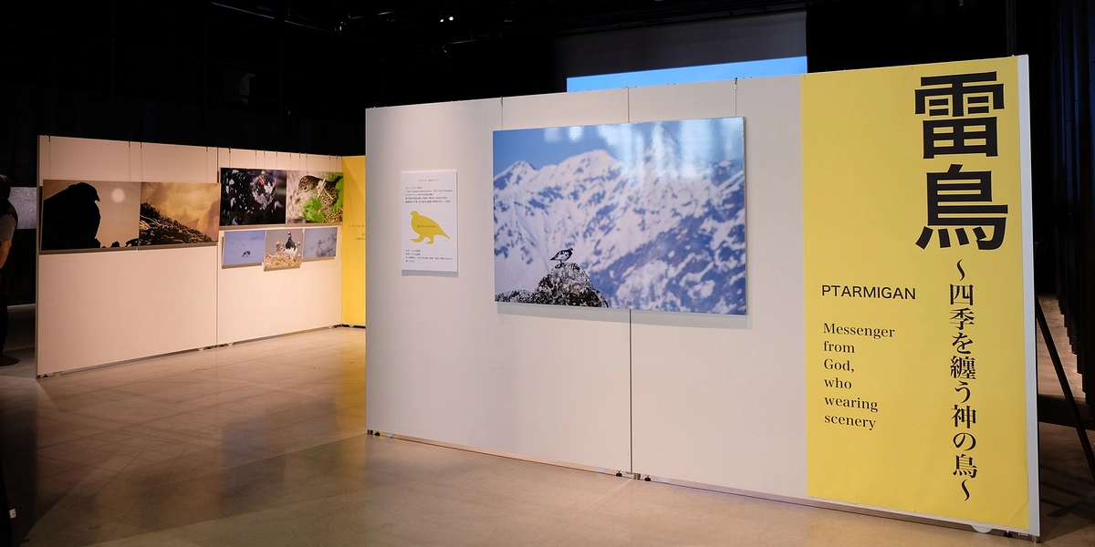 雷鳥写真家・高橋広平さんの写真展が始まりました