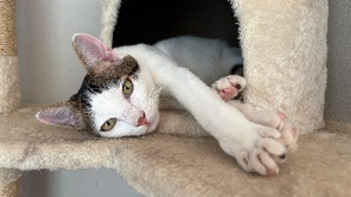 ごまさんのその後⑯