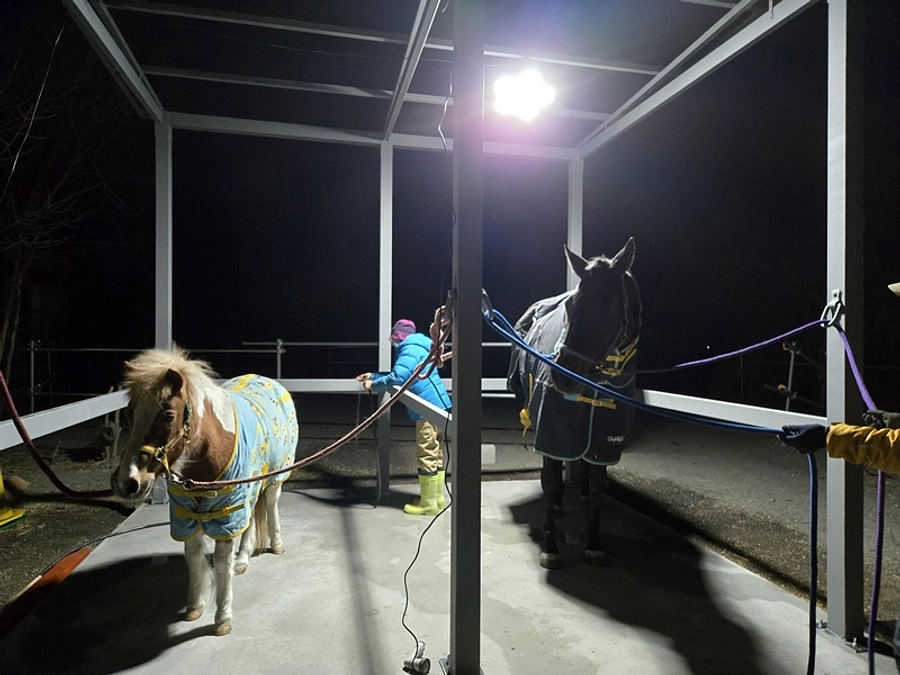 いろいろあるけれど