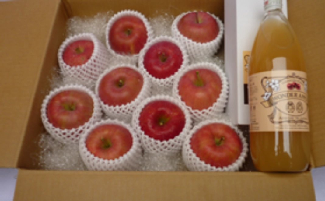 【青森県産】無添加りんごジュースと季節のりんご約5kgセットをお届け！
