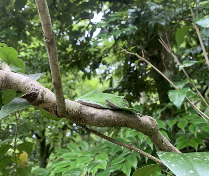 復旧工事後の防災整備について