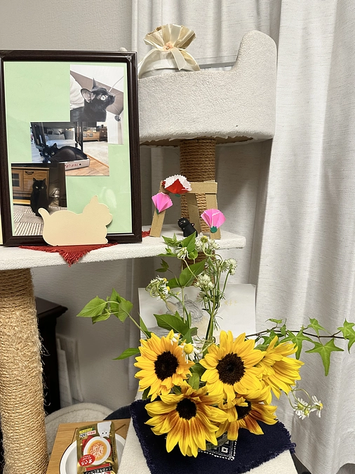 ご支援いただいた方へのリターン送付が完了いたしました。