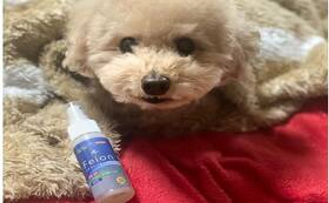 10000円支援コース