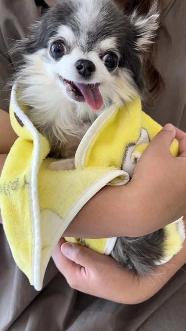 ご心配おかけしております