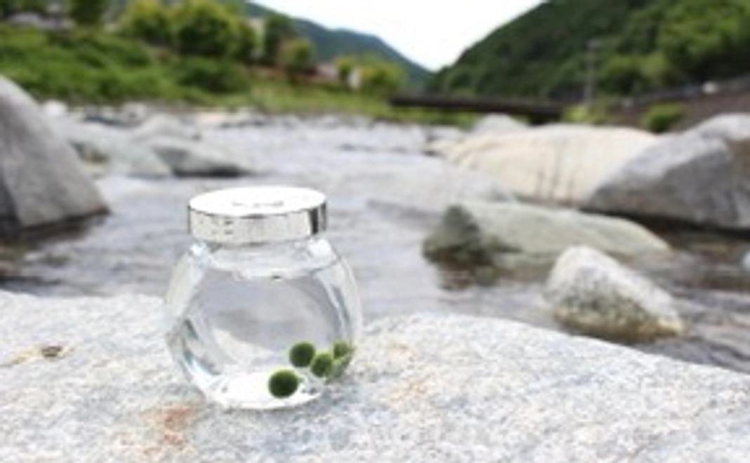 写真集発行協力者名として記載