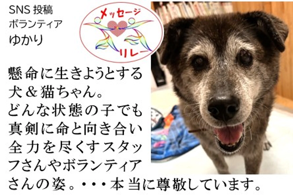 リレー１８．ご縁あってSNSを使った広報活動をさせて頂いています。