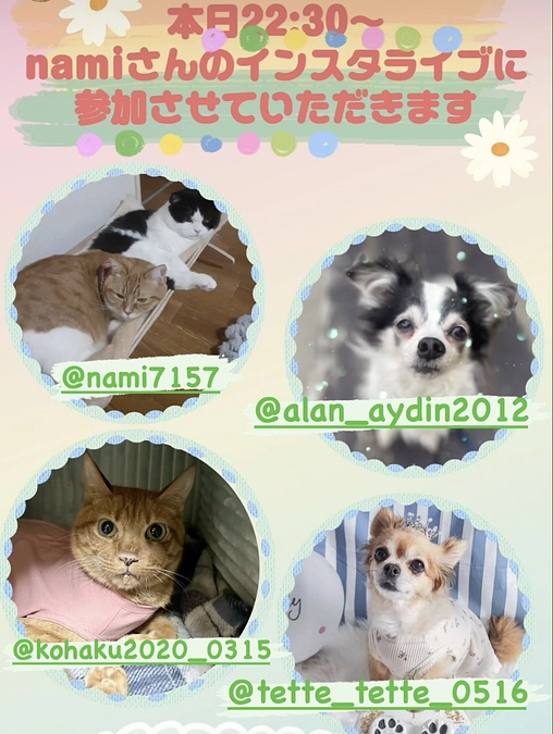 あと3日！今夜もライブ参加します