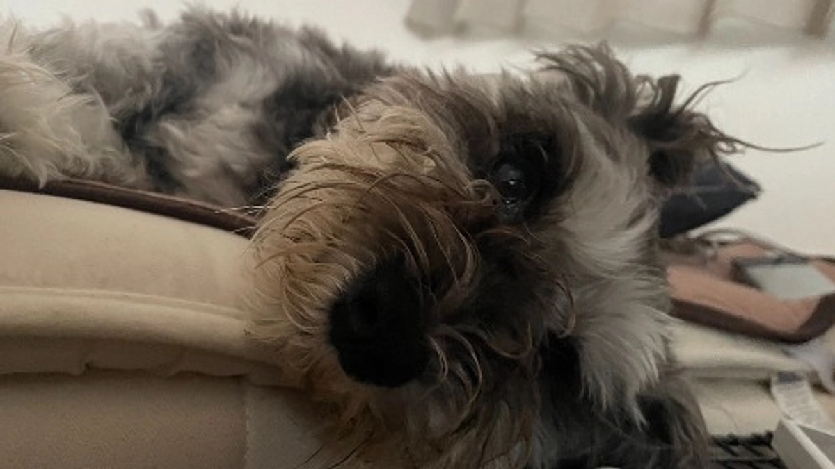 2023年7月14日　術後もうすぐ2週間！😋