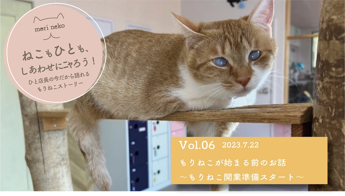ねこもひとも、しあわせにニャろう！　vol.6