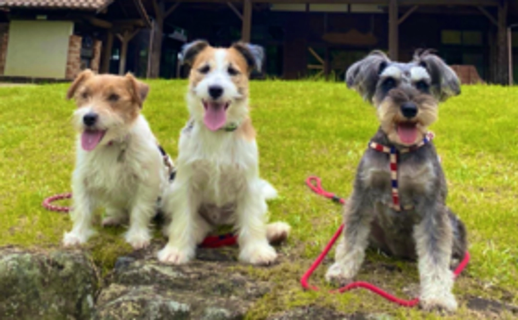 プラチナコース|毎月10000円