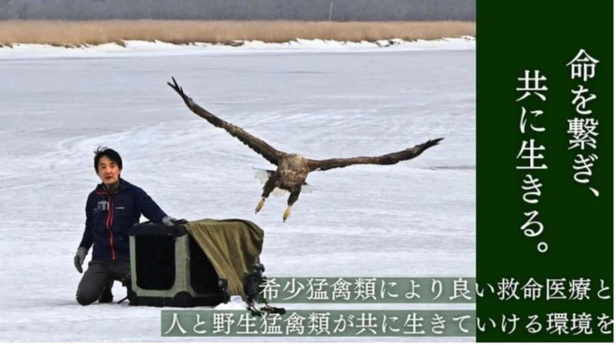 猛禽類に関するクラウドファンディングご紹介