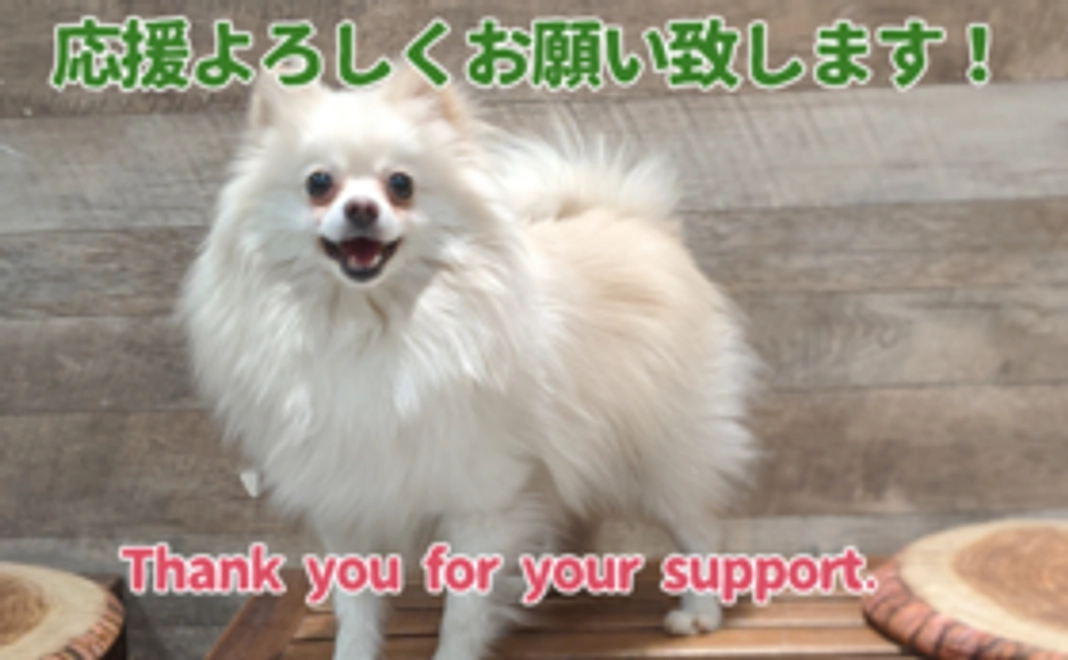 アニミル応援プラン＜1万円＞