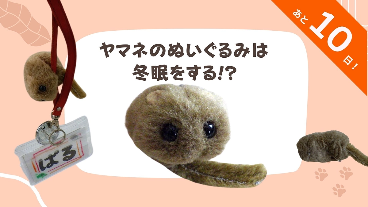 🐾いきものフィールド日記 #8『ヤマネのぬいぐるみは冬眠をする』