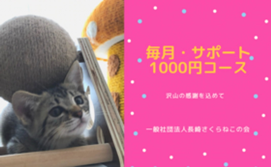 毎月サポート1000円コース