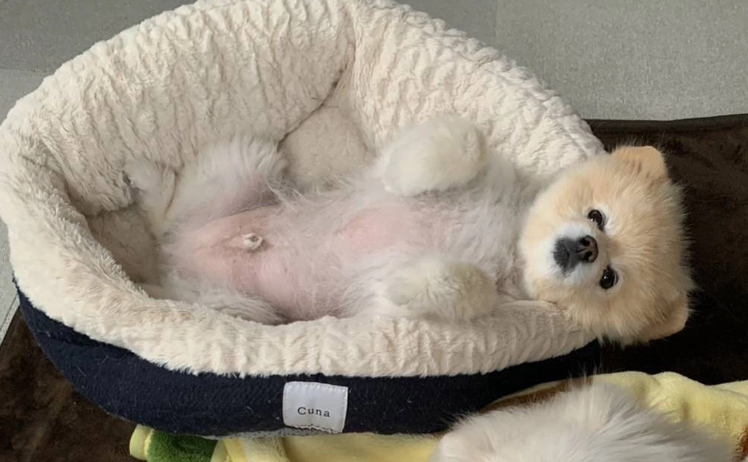 1.リターンなし