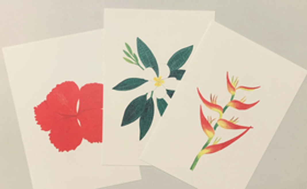 沖縄の花イラスト絵ハガキ3枚セット