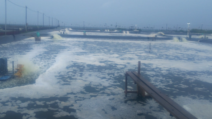 日本の技術により開発した海老の養殖用飼料の生産及び販売計画