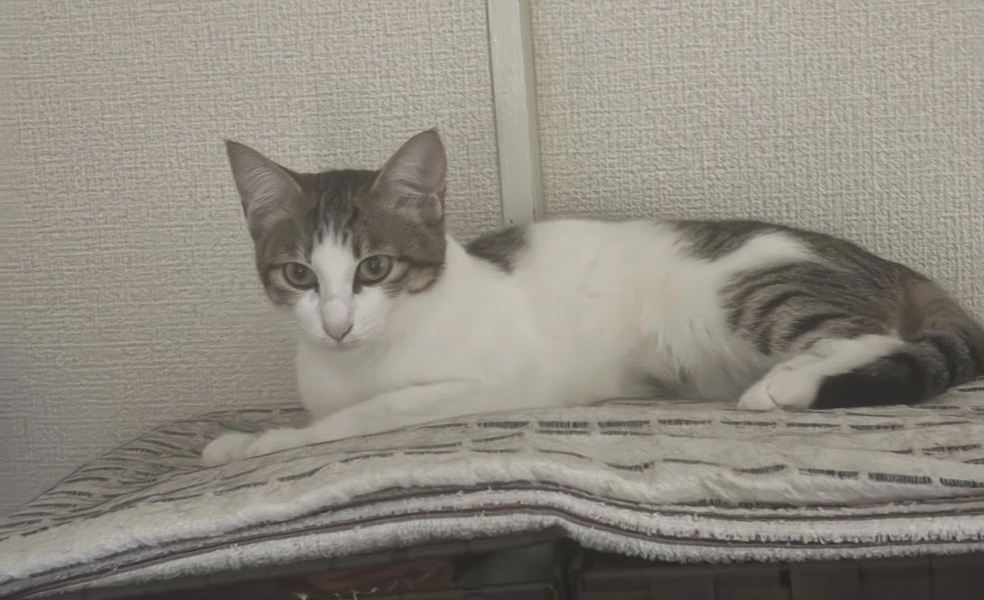 投薬60日目のご報告