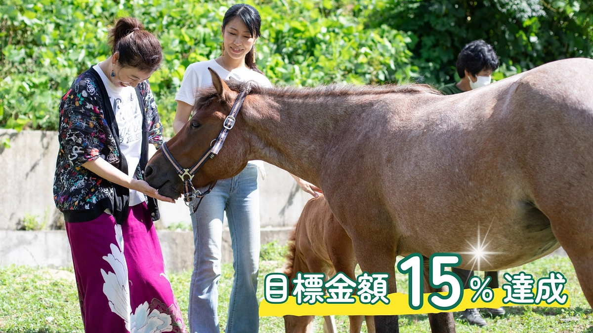 クラウドファンディング開始しました！早速のご支援ありがとうございます。