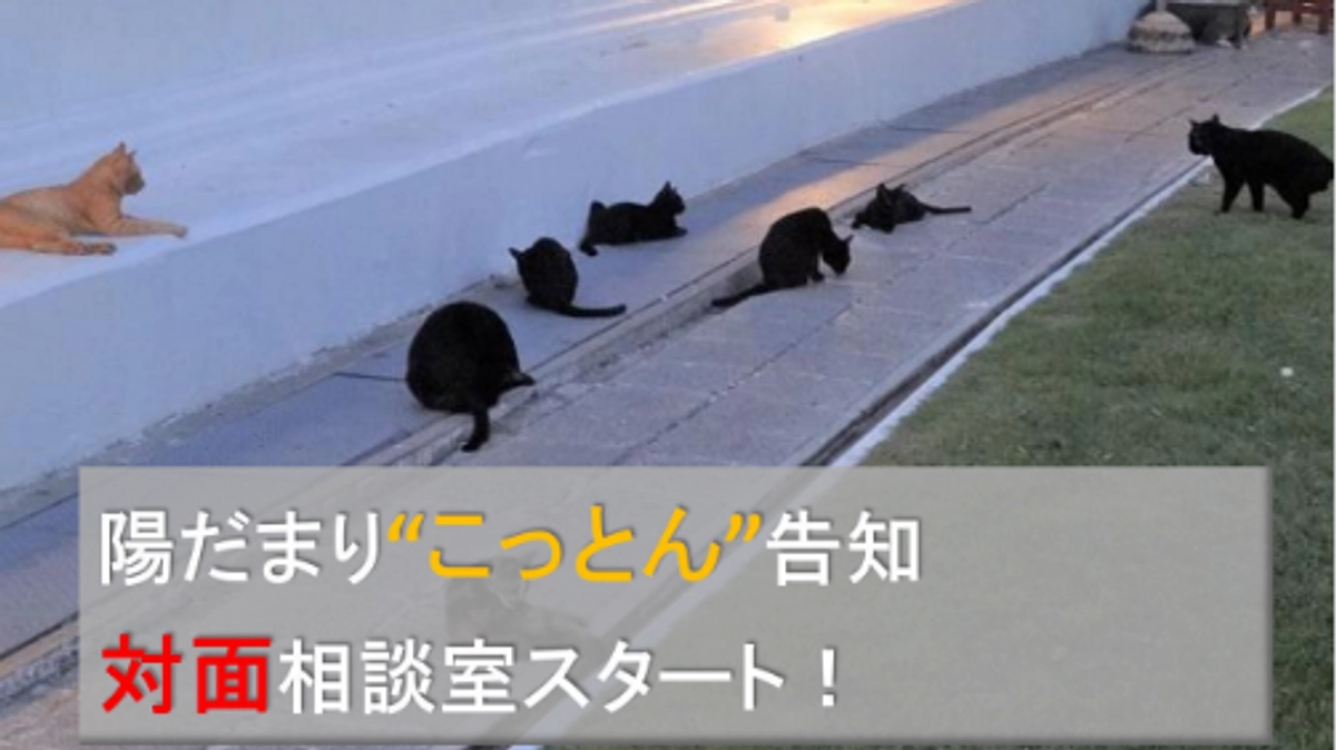 陽だまり宗教２世支援ニュースレター第４号発刊！