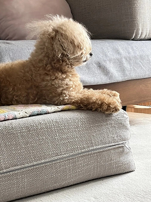 やっぱり咳が多い日が有ります…