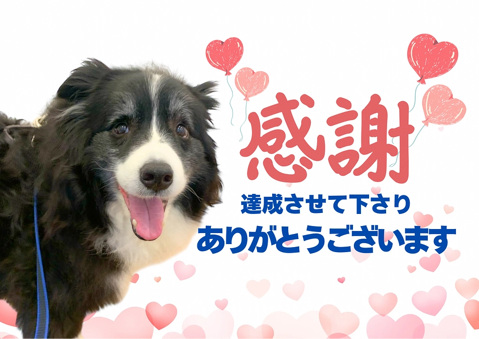 達成させて下さり、ありがとうございました。