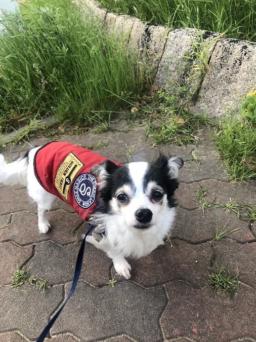 ご支援、またXでの拡散ありがとうございます