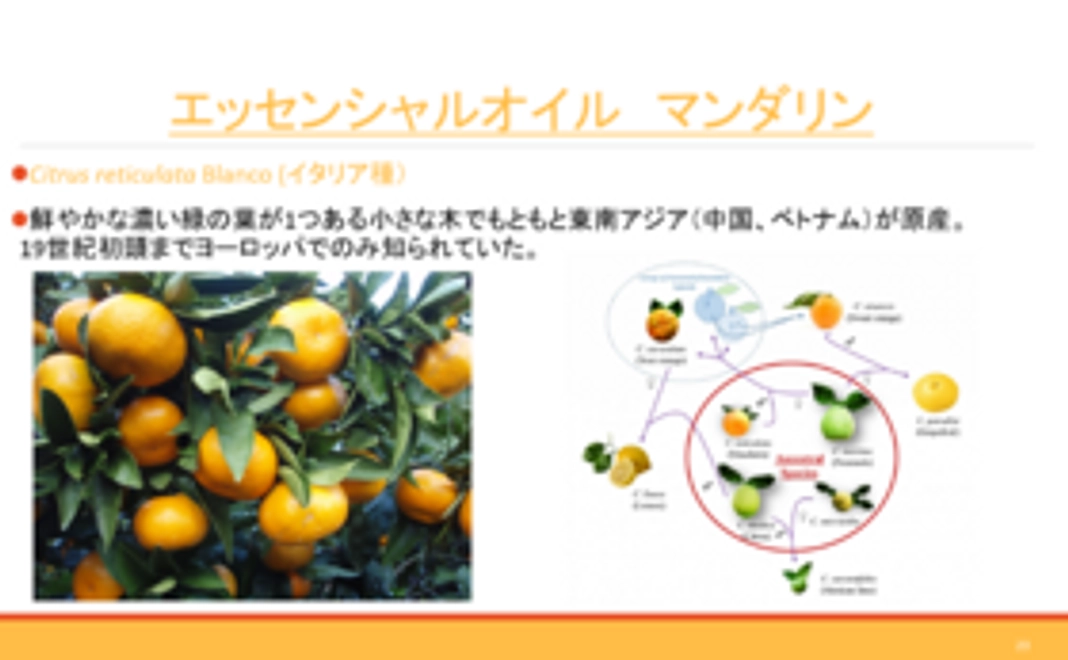 香料講座　天然香料柑橘系の香り