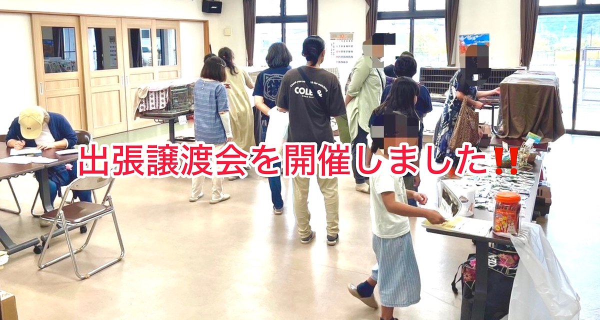 本日は2箇所で出張譲渡会を行いました！