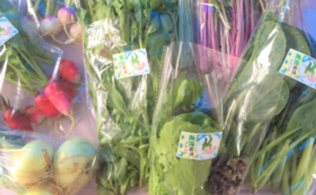 【お好きなものをお選びください！】～お野菜・自家製黒にんにく～