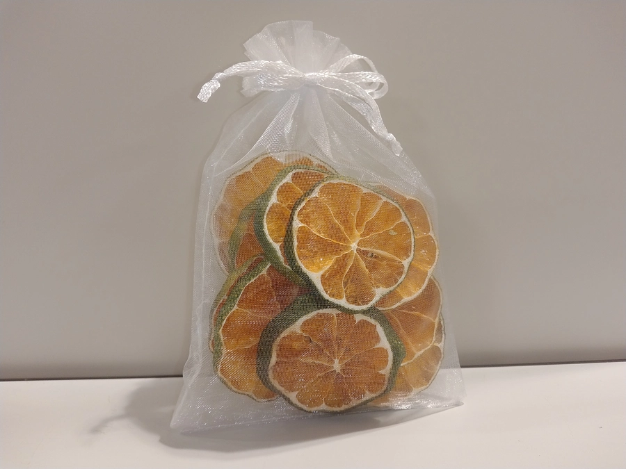 【活動紹介・学生レポート】ハルカス学園祭