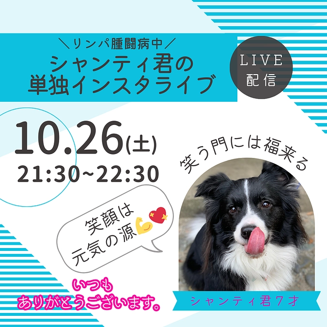 今夜、21:30よりインスタライブ🐼️🩵