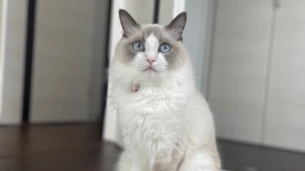 あと10日となりました！！