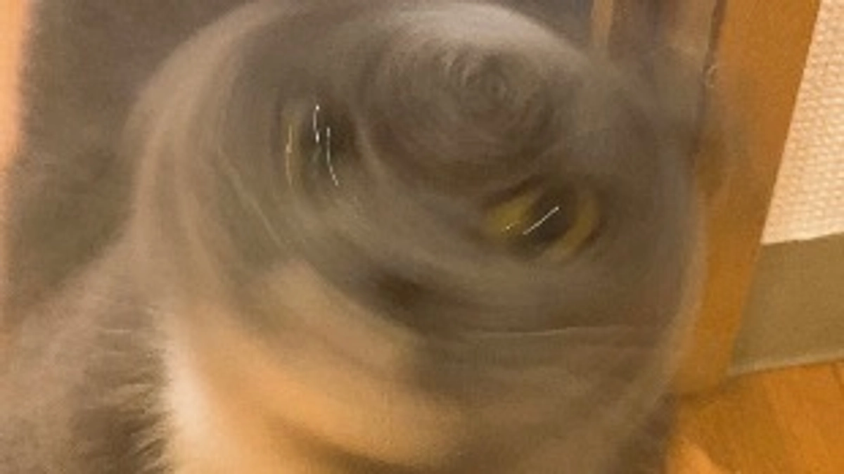 8月7日のプルート