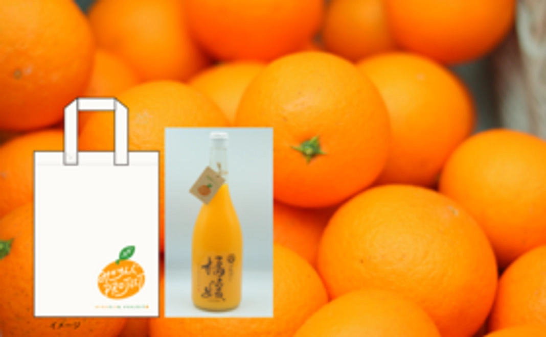 【生の柑橘＆ジュース】あま～い訳あり柑橘（約10㎏）＆柑橘ジュース＆トートバック＋みかん便り