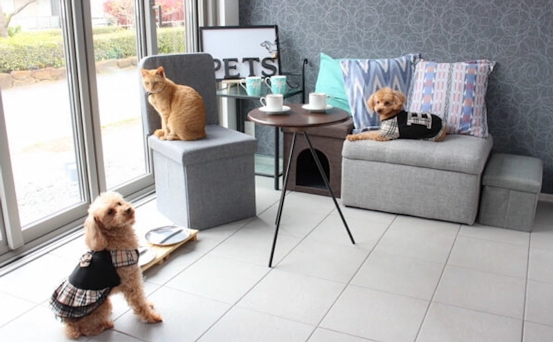 リターンのご紹介！〜カフェ利用権〜