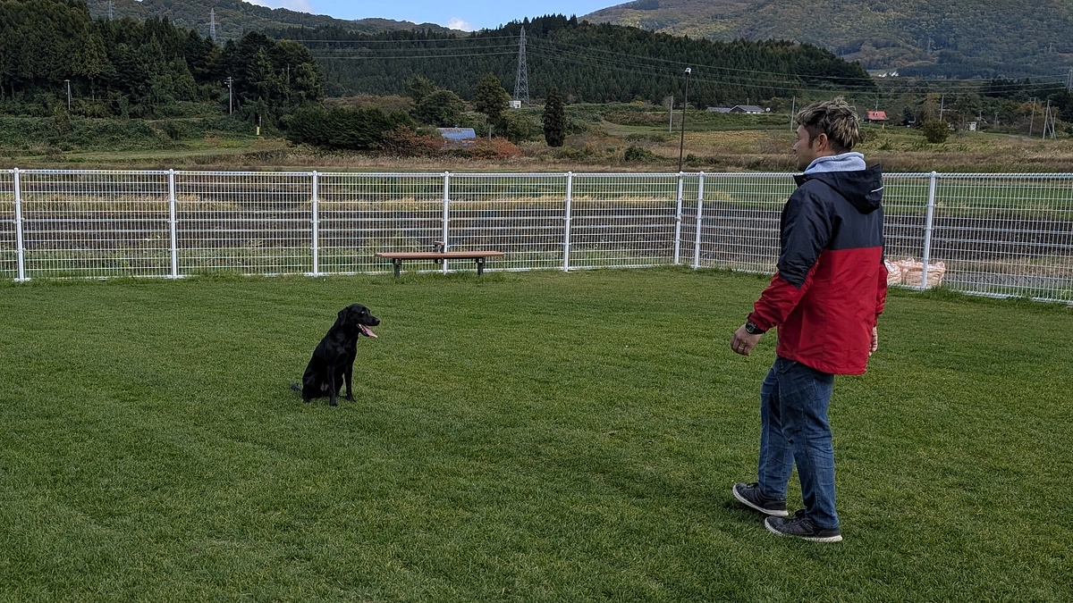 芝の根付きをチェック！