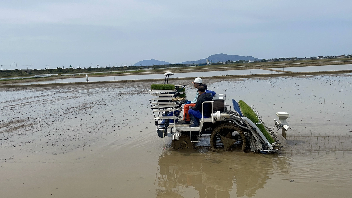 生産の現場の田植えが始まりました