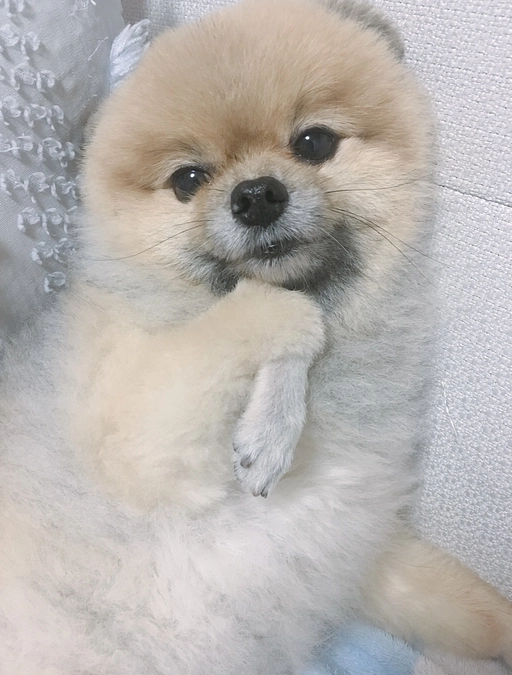 30%到達しました