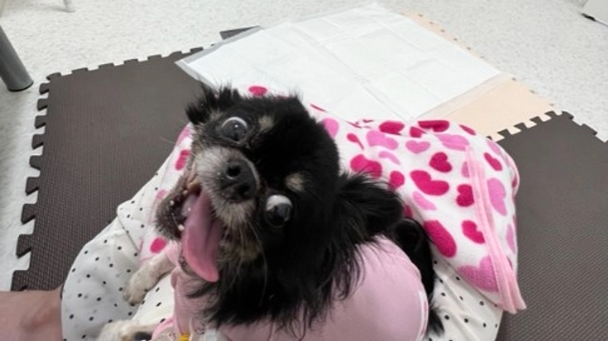 術後経過報告その1