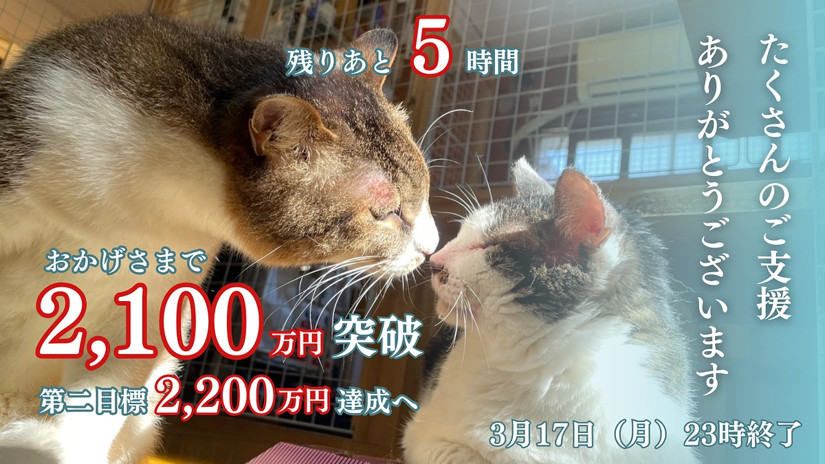 2,100万円突破！残りあと5時間です。第二目標2,200万円に向けて最後まで応援をお願いします