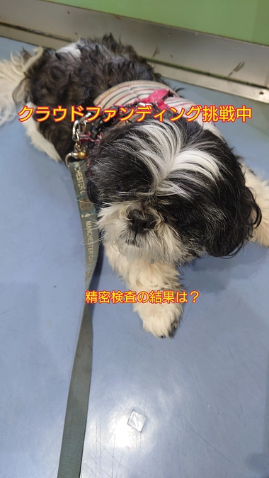 本日は精密検査の日でした。