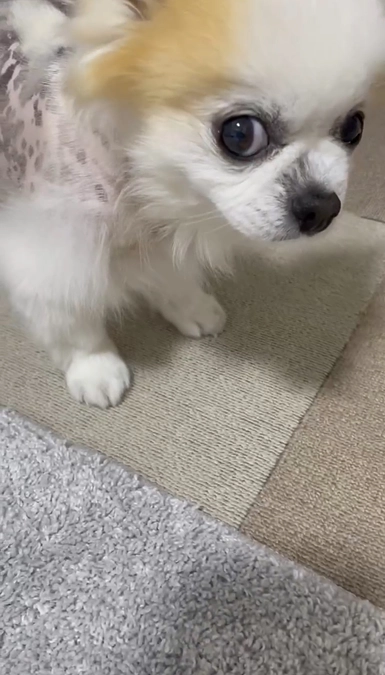 まだ酷い咳は続いてます