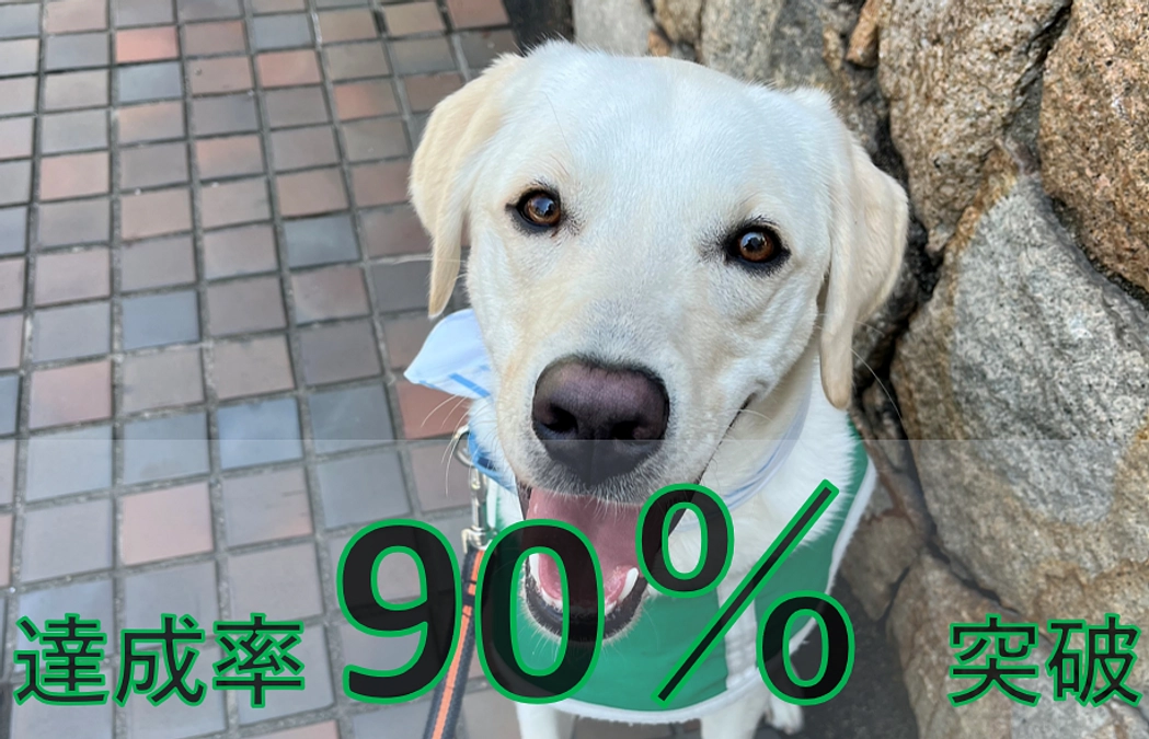 【90％突破‼】　皆様へご報告とお礼　事務所の様子