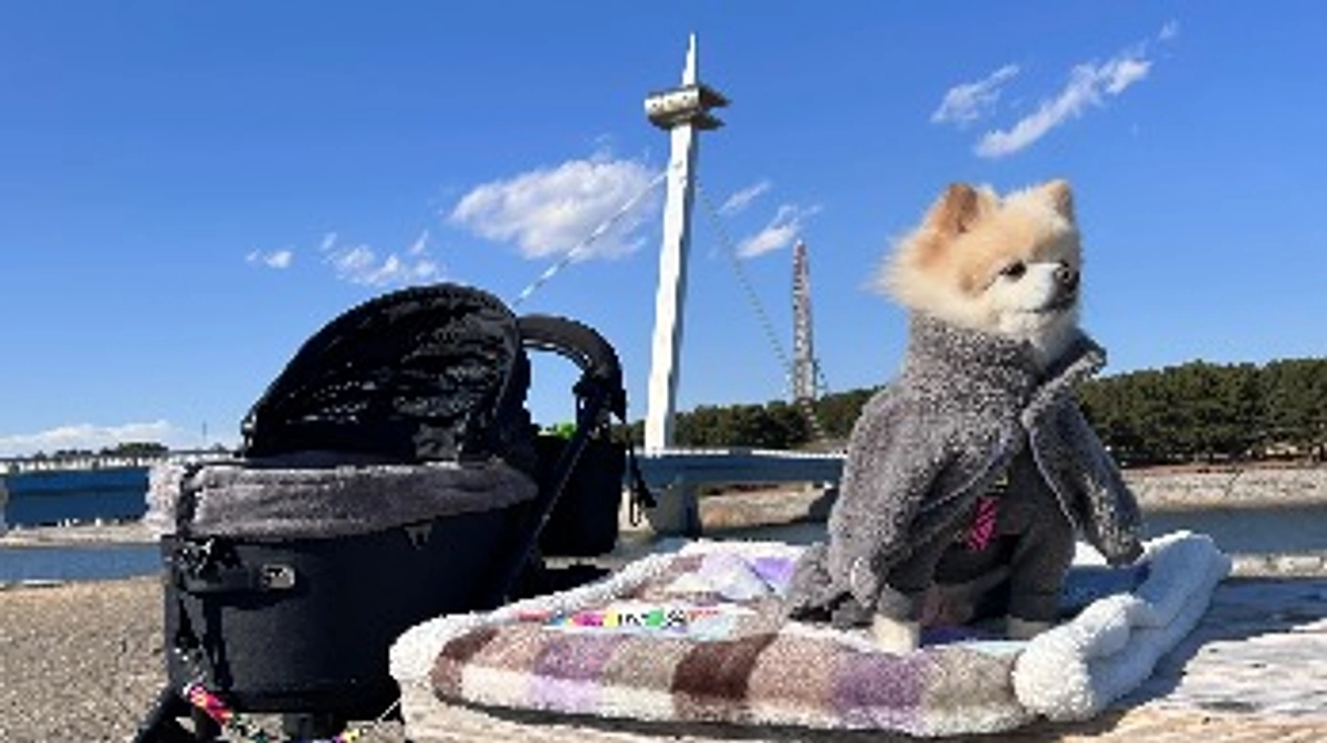 14/59 ☆ ピクニック 〜 海編 〜