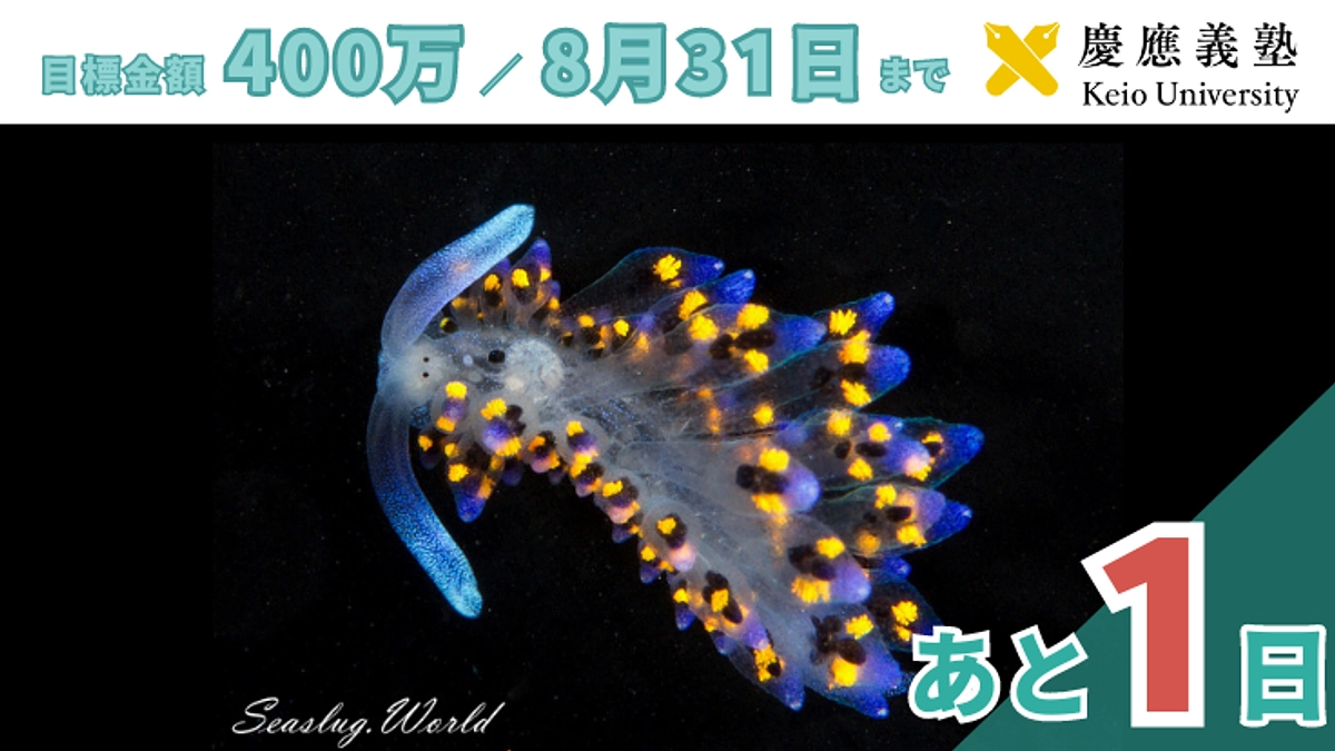 残り1日！寄付募集は明日23時まで！