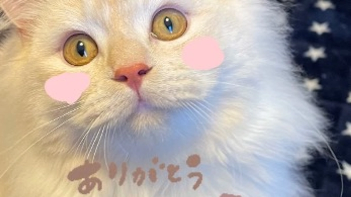 ご支援いただきありがとうございます🙇‍♀️