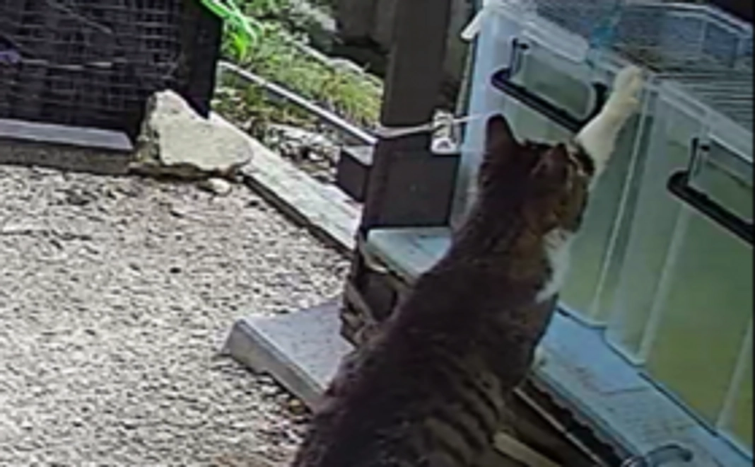 活動報告ブログのURLをメールでお知らせします