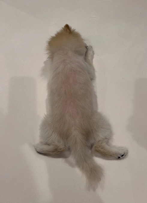 22/59 ☆ 投稿が空いてしまいました。